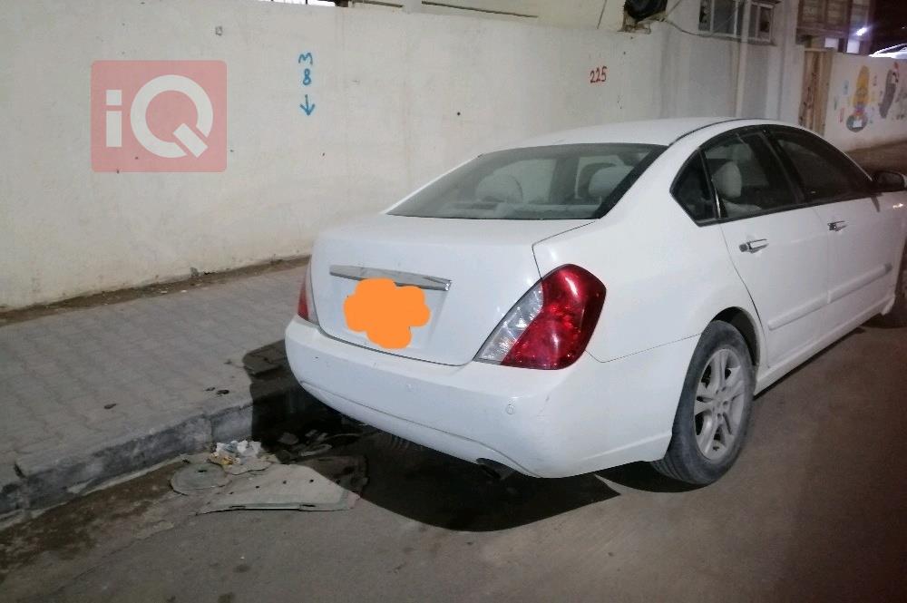 رينو سافران